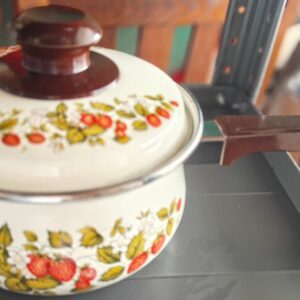 Stock pot mid century strawberry medium