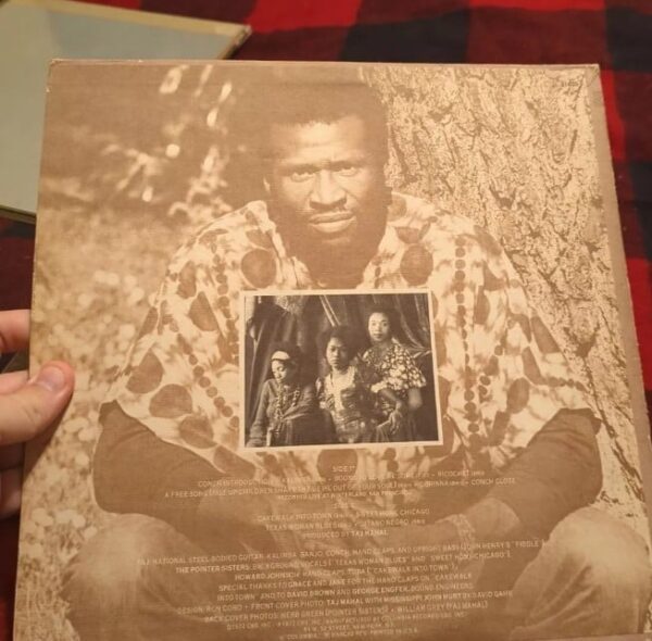 Taj Mahal . Recycling the blues and other related stuff. Vinyl - Image 2