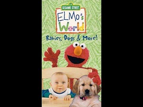 Learning with Elmo: Babies, Dogs, and More!